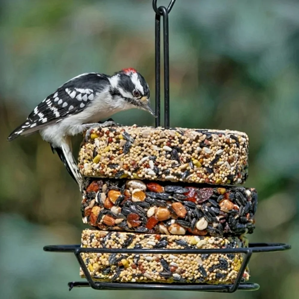 Audubon Park Snack Stack Bird Feeder